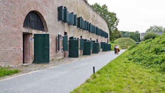 Procurios in The Netherlands